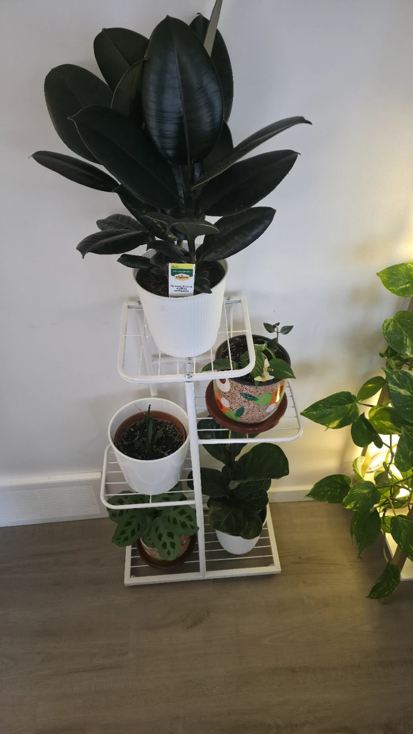 White 4-Tier Metal Plant Stand - photo 2