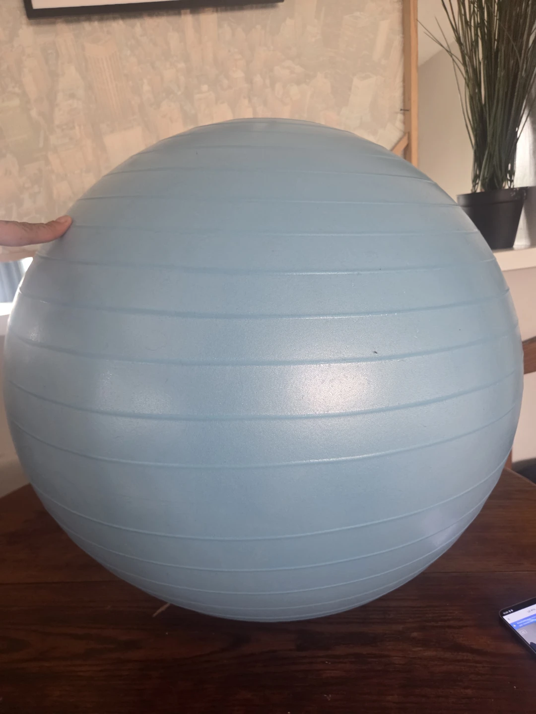 Light Blue Exercise Ball