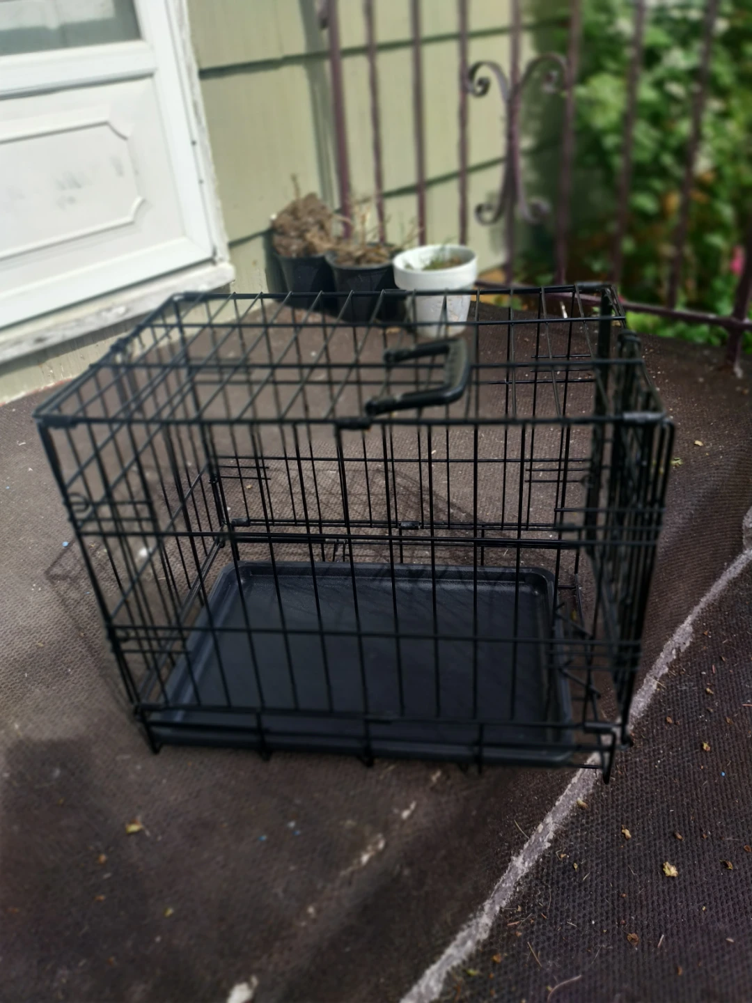 Black Little Pet Crate with Tray Dog Cage Kennel pup puppy - photo 2