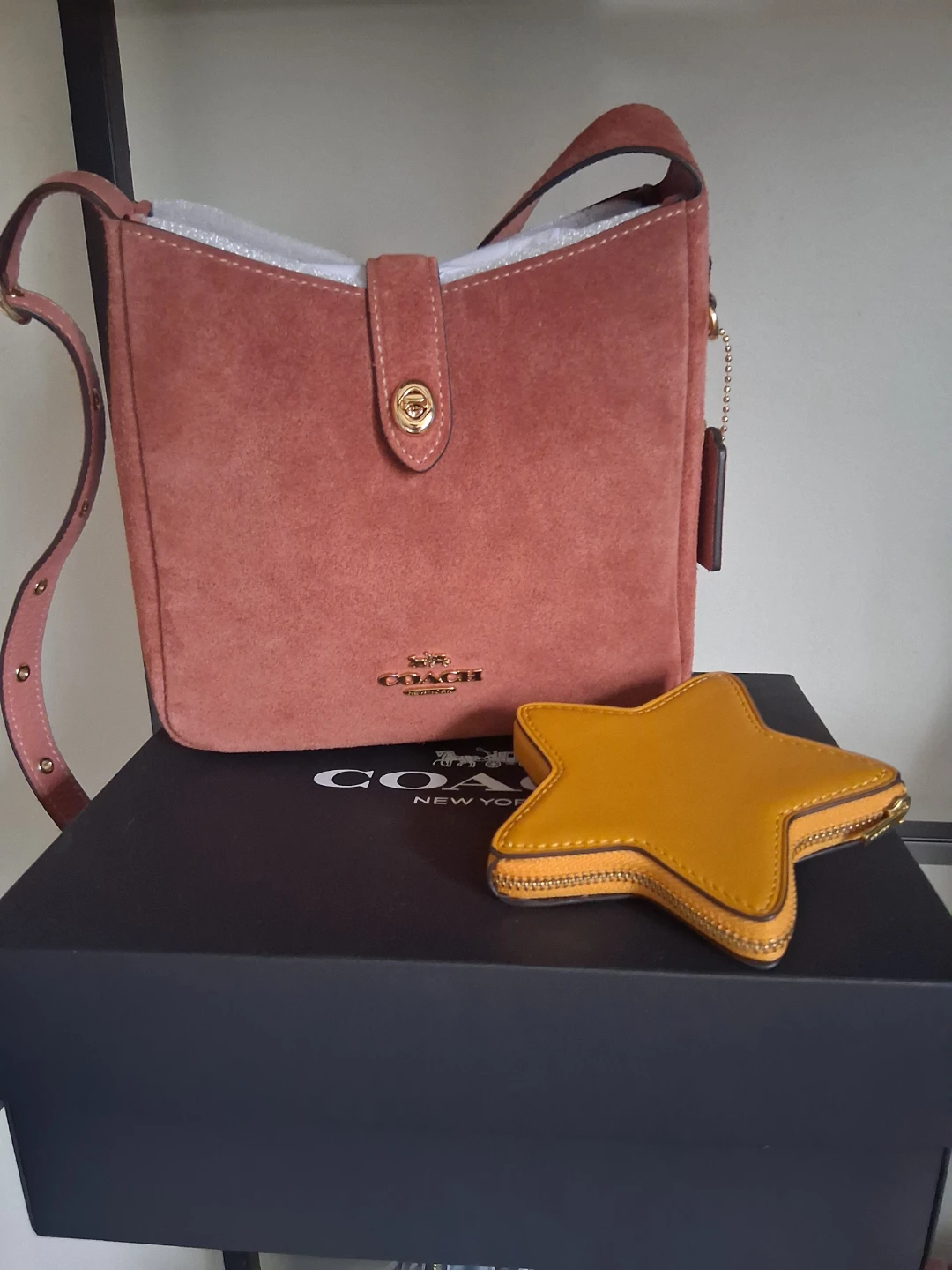 Coach mini suede hadley in clay with coach star charm