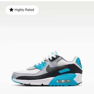 Nike Air Max 90 LTR Big Kids' Shoes