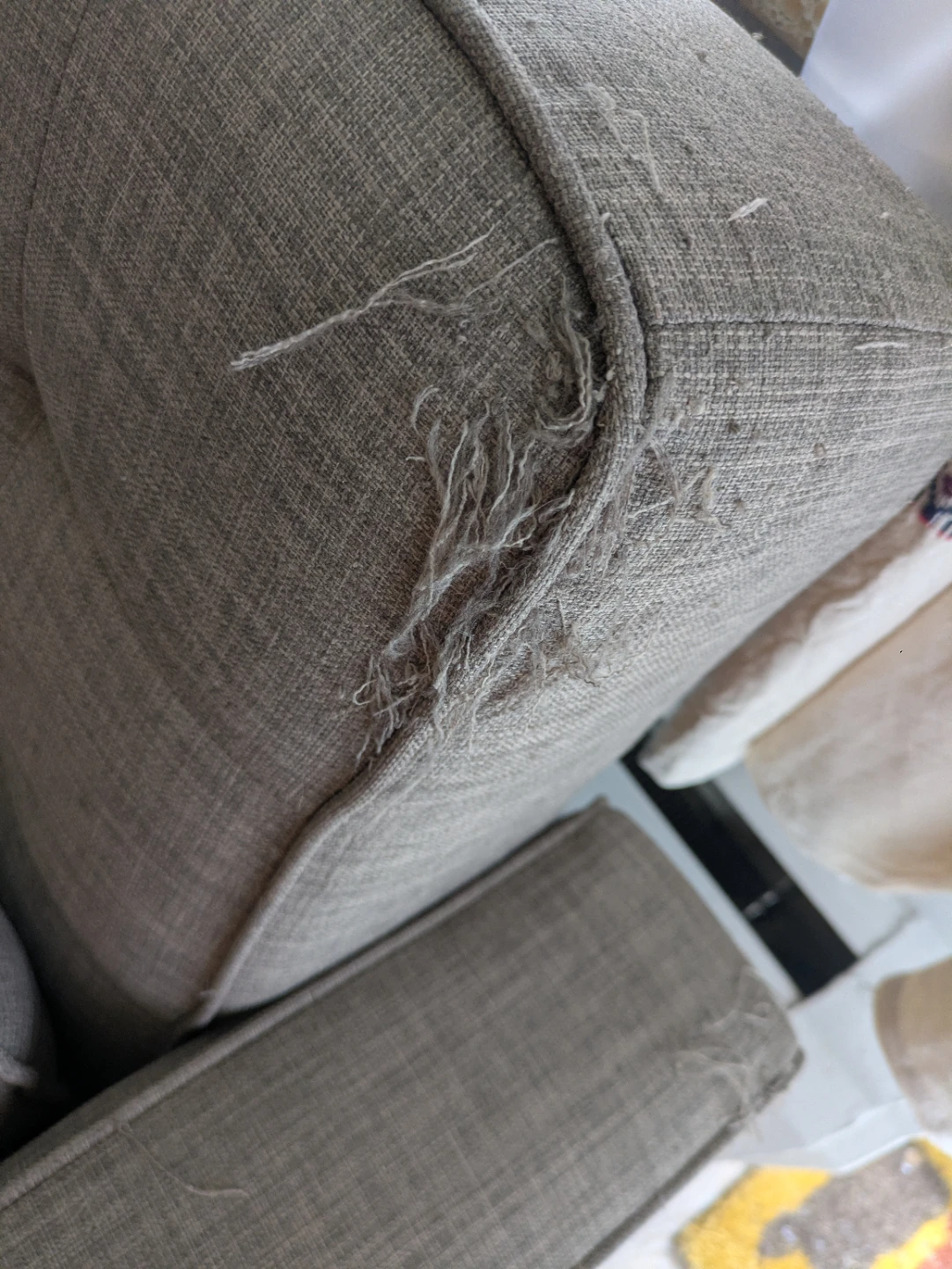 Cat Owner's Grey Tufted Sofa - photo 5
