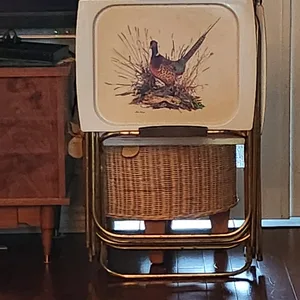 Vintage Folding TV Trays