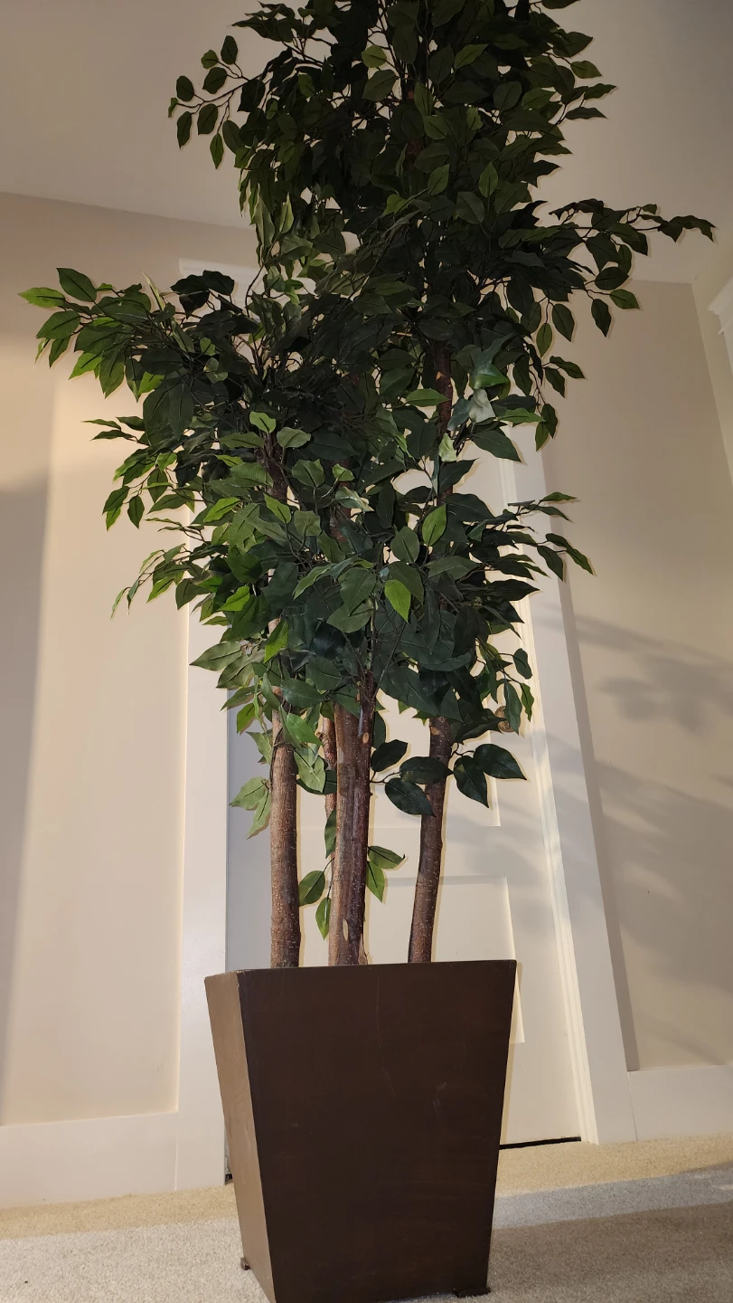 Artificial Ficus Tree