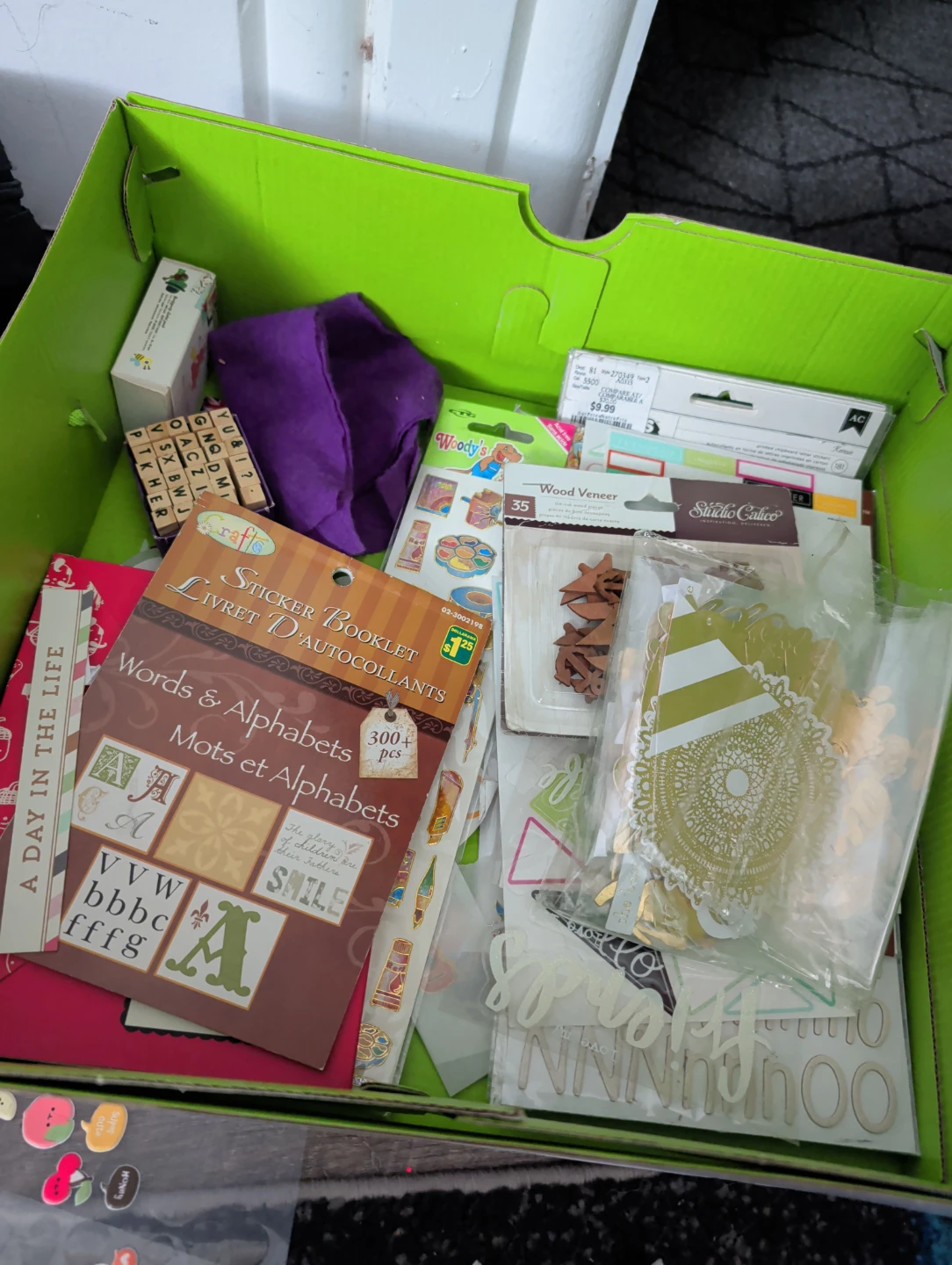Crafts Sticker Booklet and Wood Veneer Assortment