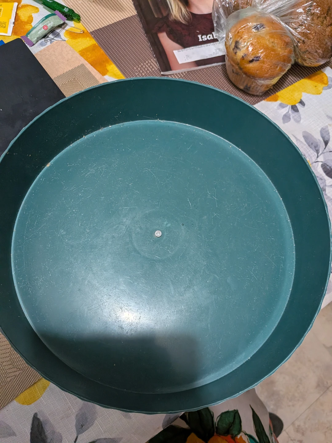 Teal Decorative Planter Wheel with Gold Legs - photo 2
