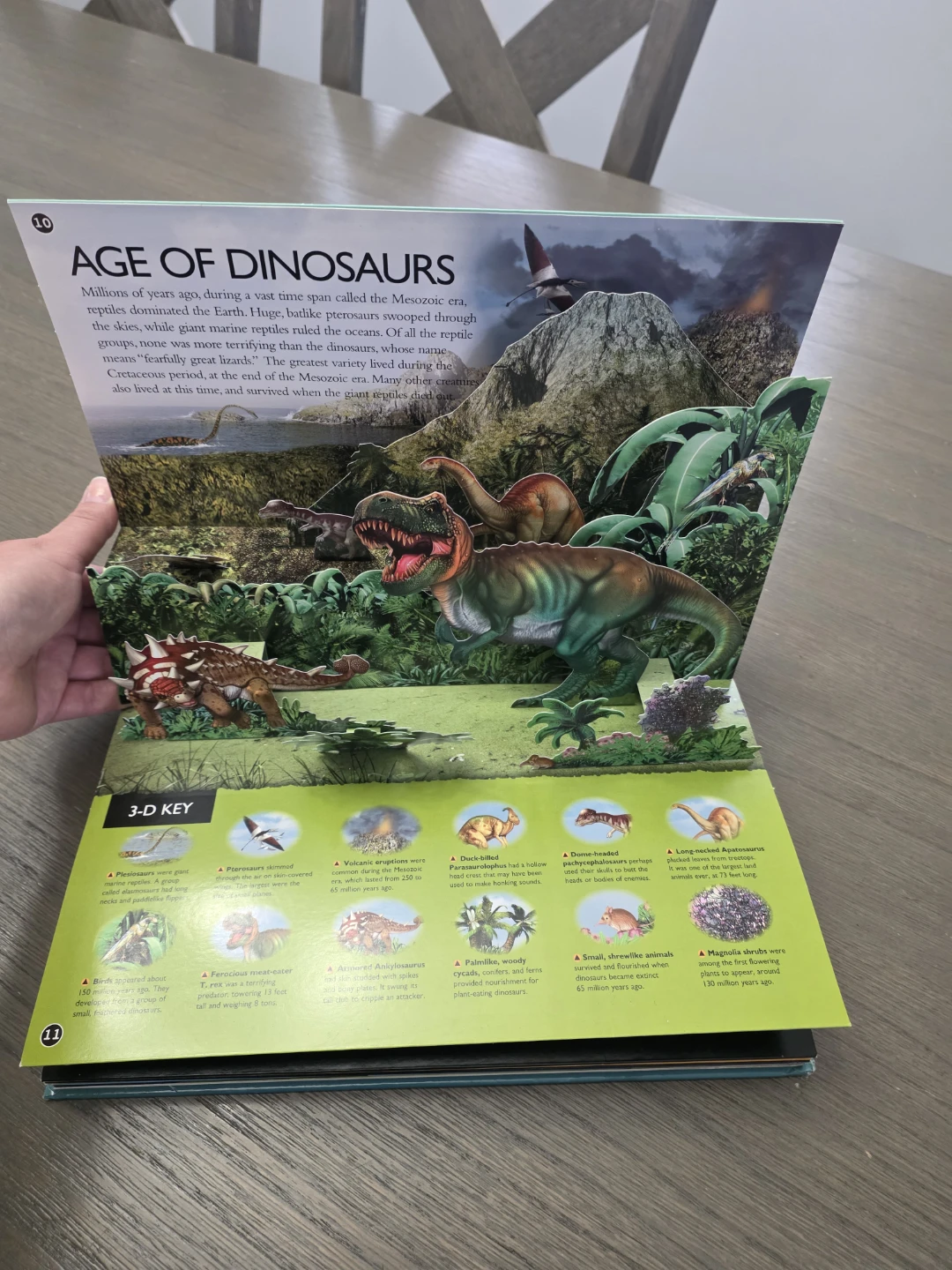 Planet Earth 3-D Explorer Book - photo 3