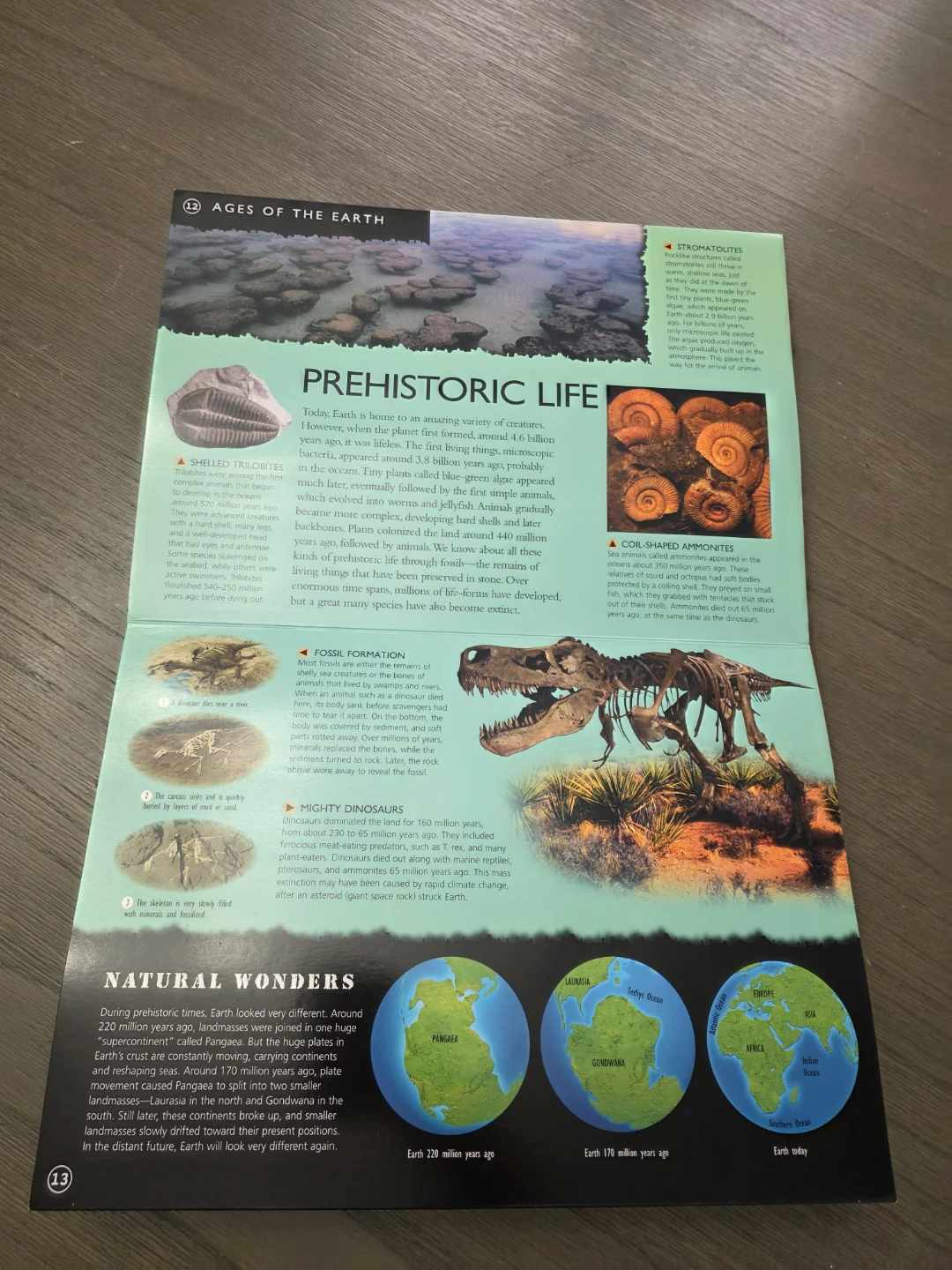 Planet Earth 3-D Explorer Book - photo 4