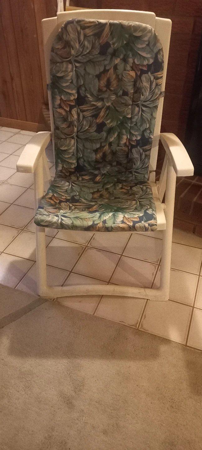 Outdoor Patio Chair with Floral Cushion - photo 2