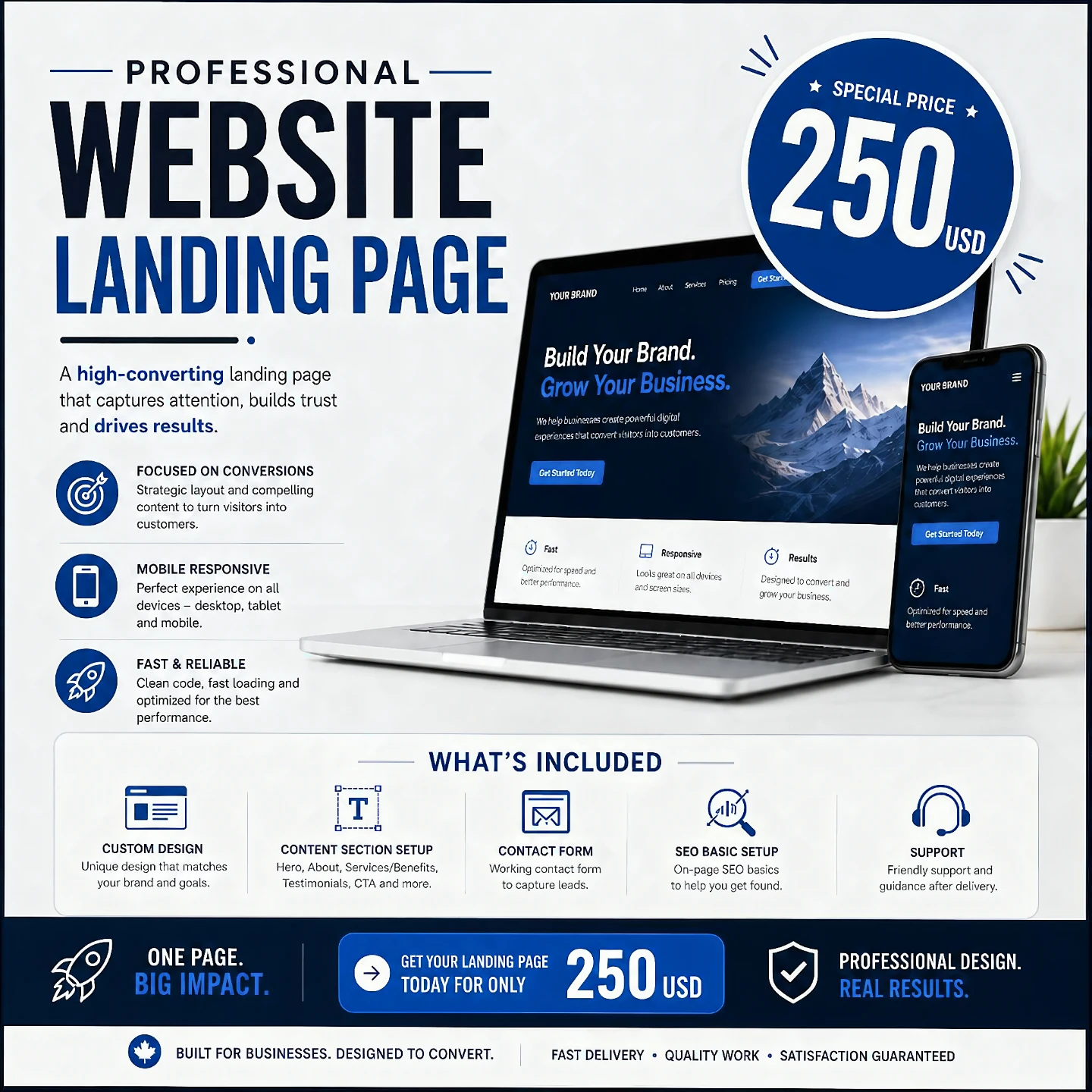 Professional Website Landing Page Service