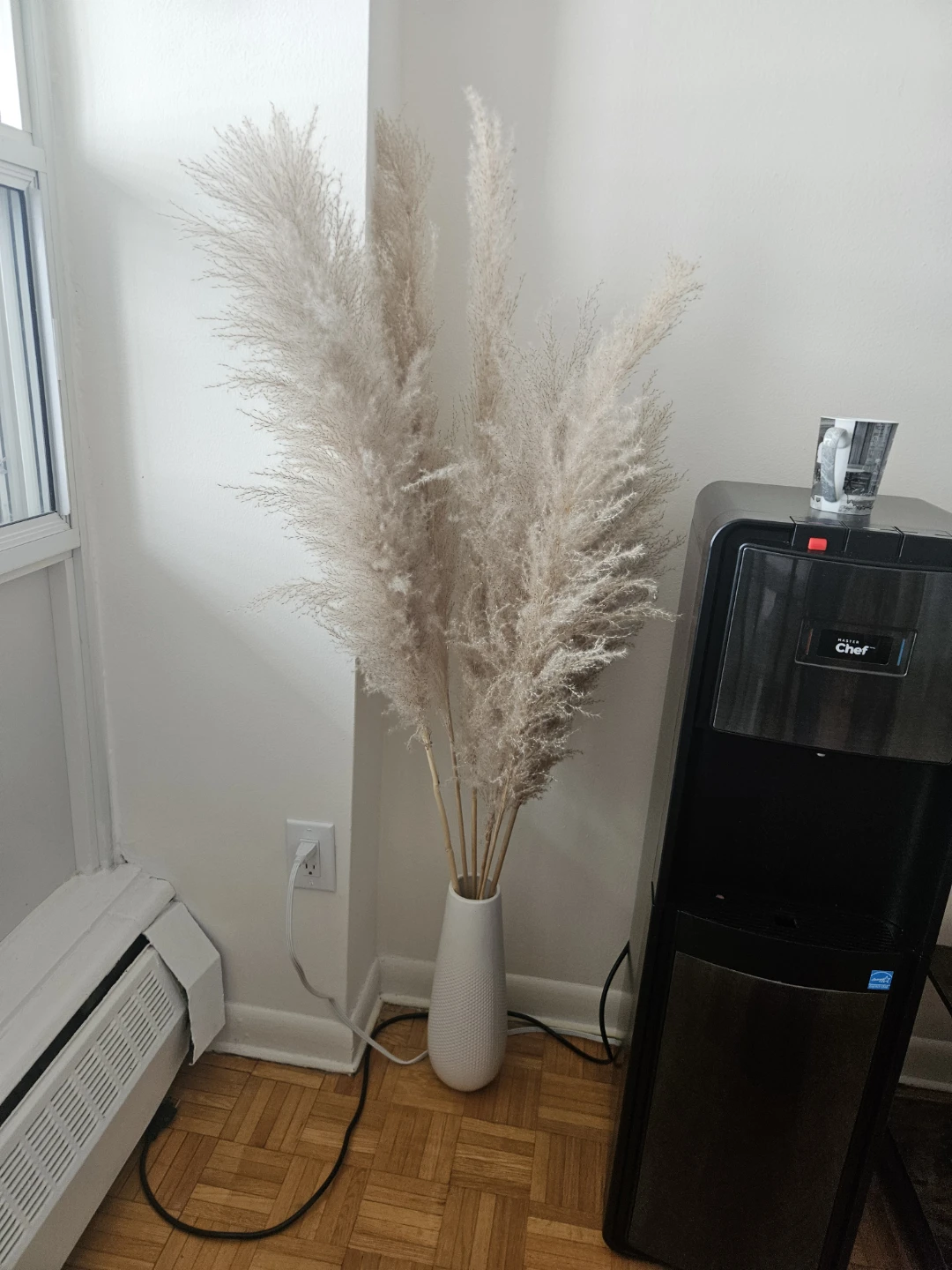 Pampas grass tree plant decor