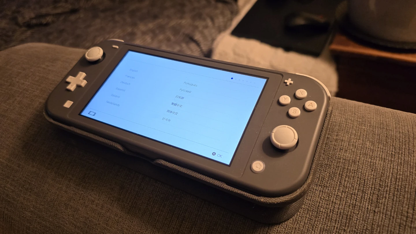 Nintendo Switch Lite Grey
