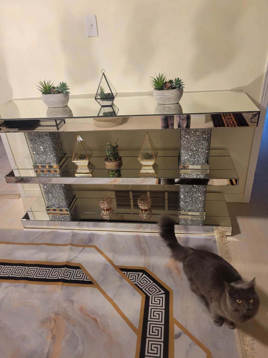 Mirrored Console Table with Faux Succulents - photo 4