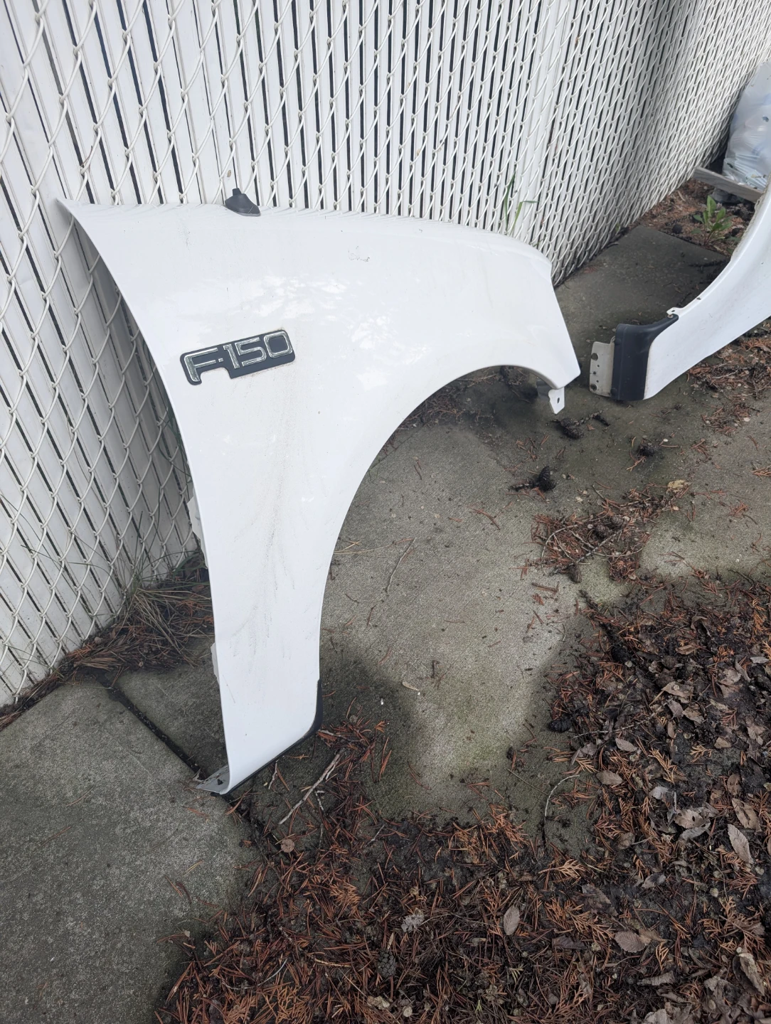 backyard cleanup !!! - photo 2