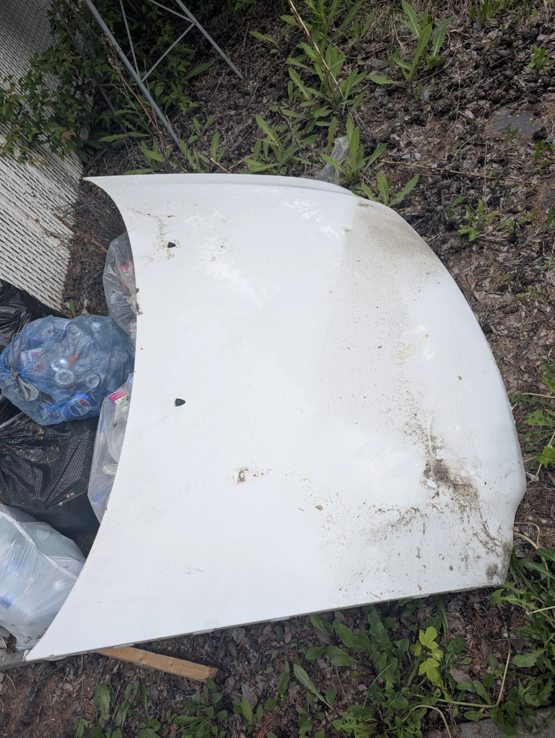 backyard cleanup !!! - photo 4