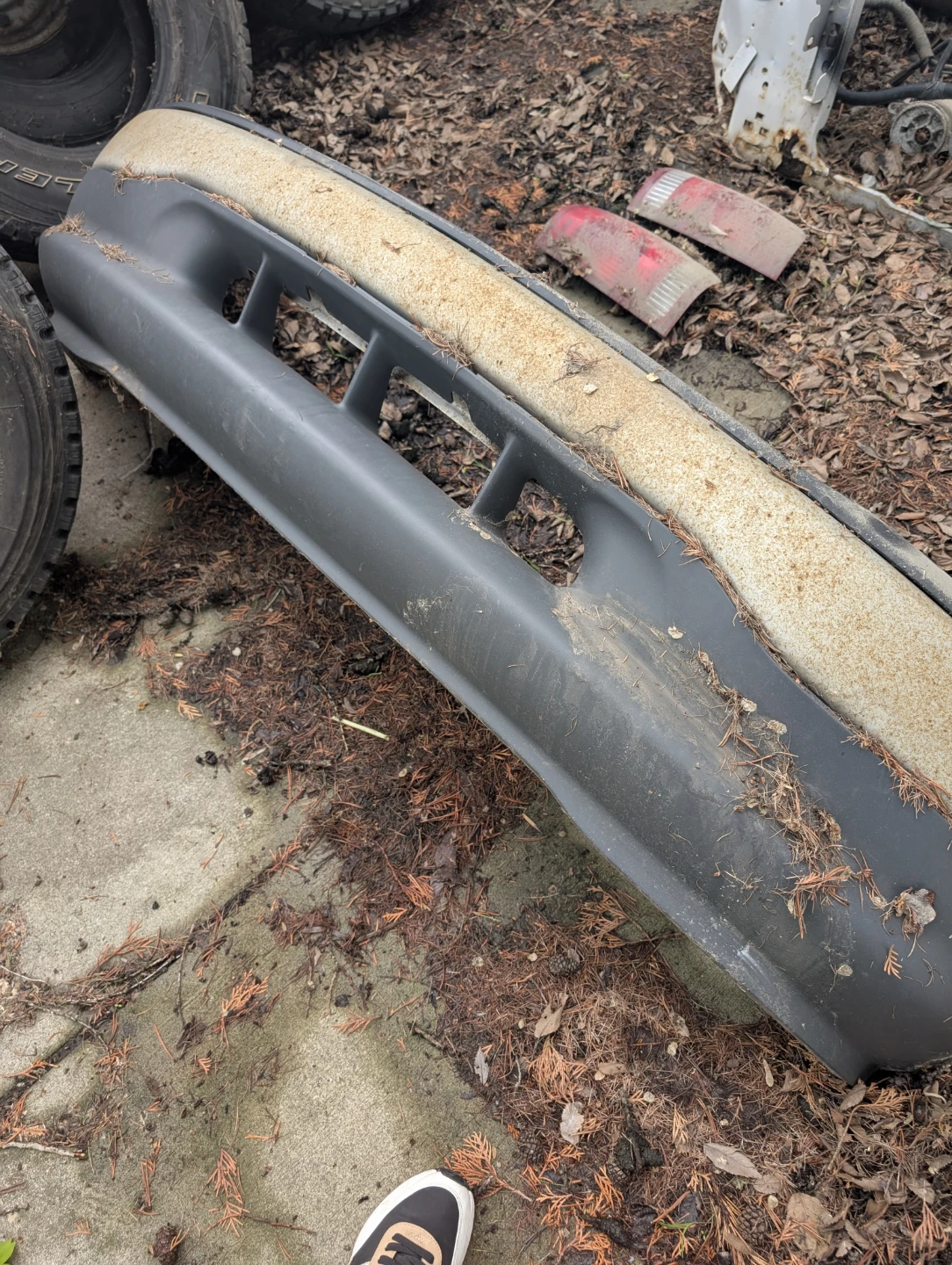 backyard cleanup !!! - photo 5
