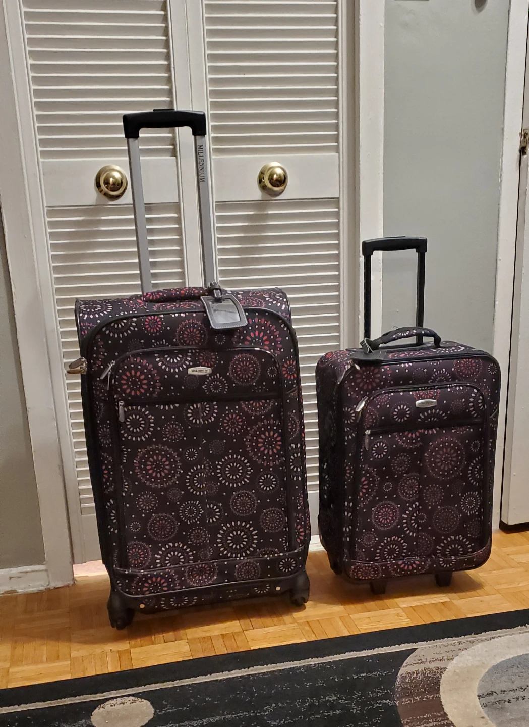 Millennium 1 Big & 1 Small Travel Luggage