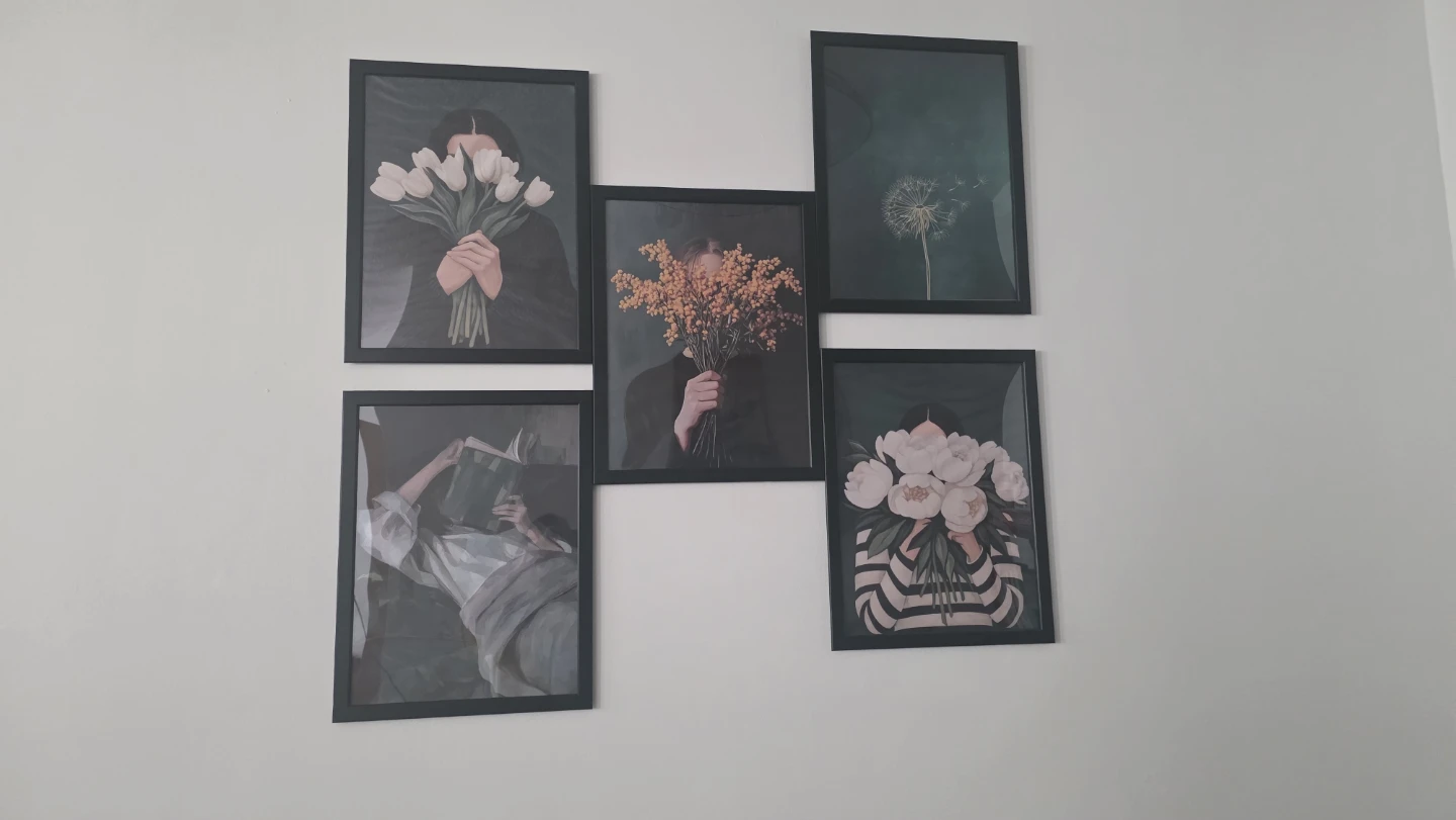 Set of 5 Framed Art Prints