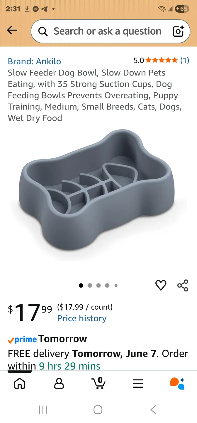 Ankilo Slow Feeder Dog Bowl