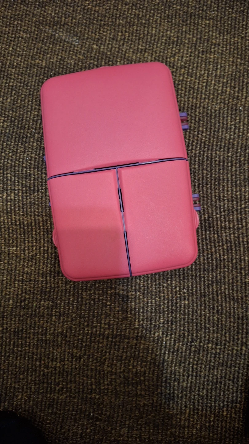 Pink and Purple Bento Box