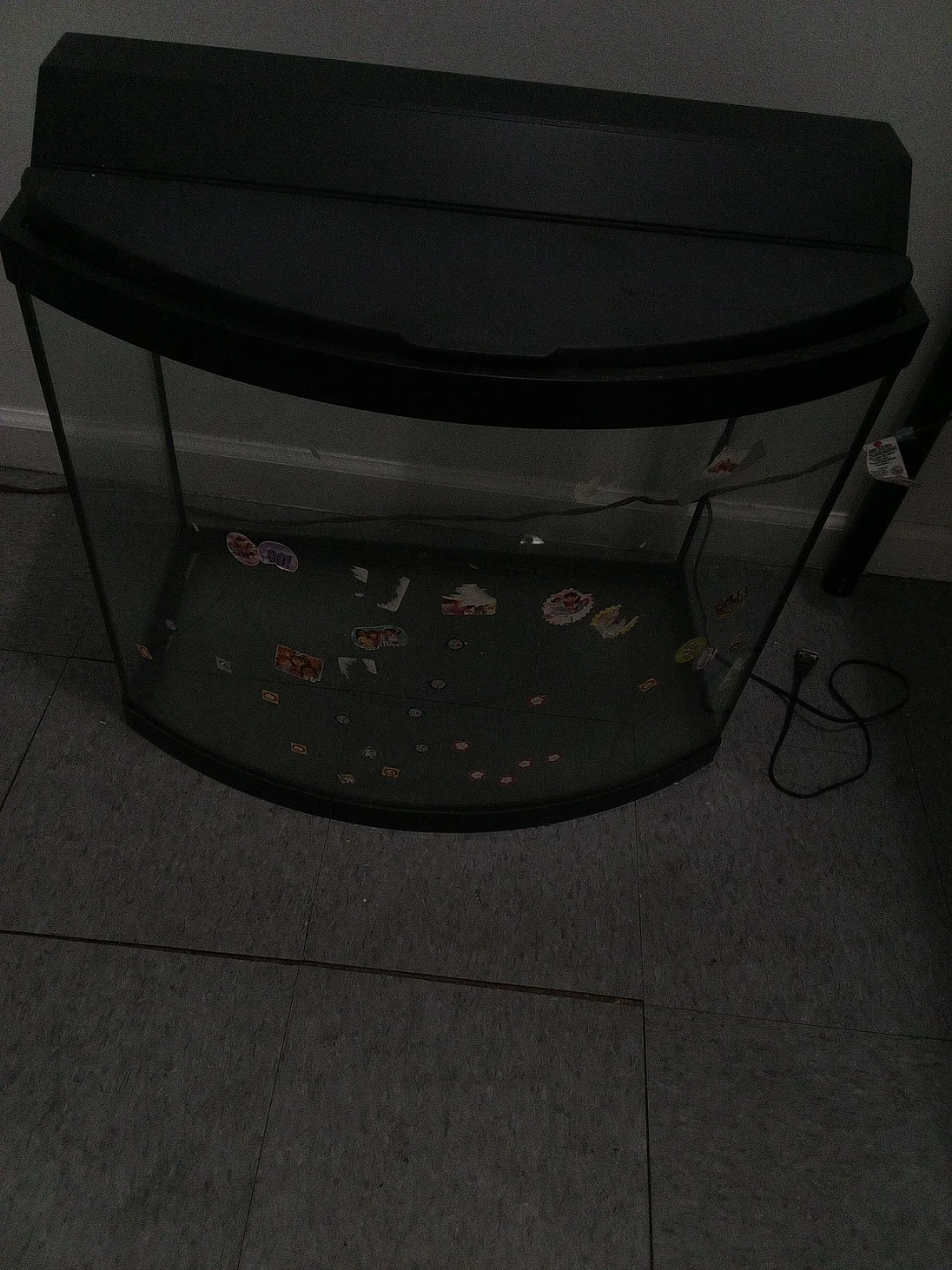 Curved Glass Aquarium Tank