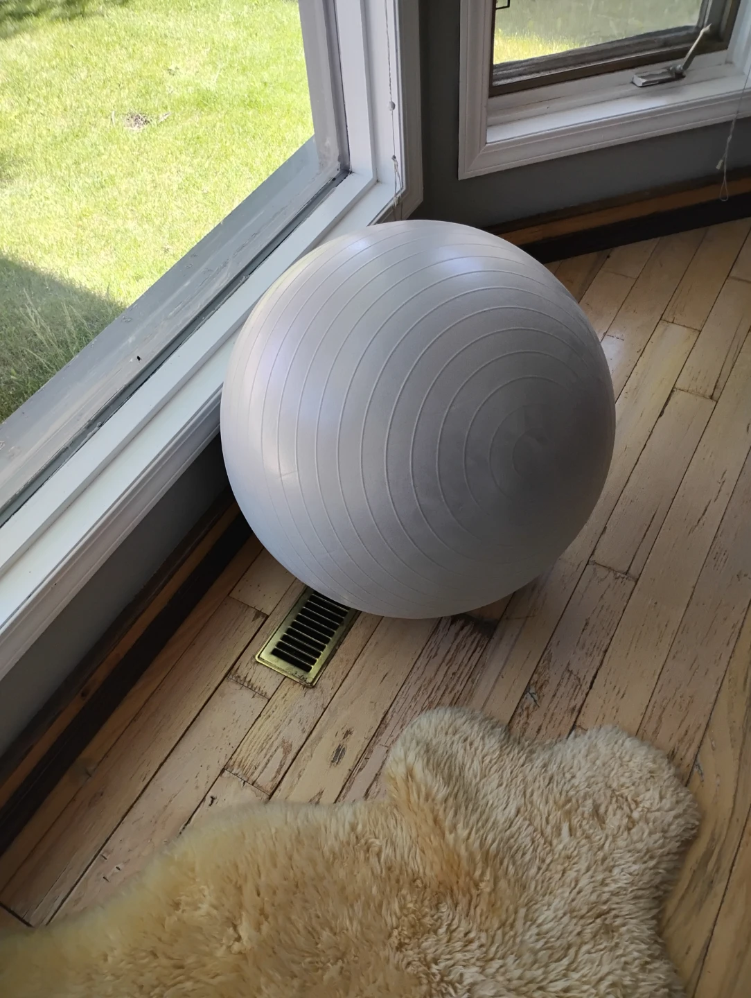 White Exercise Ball