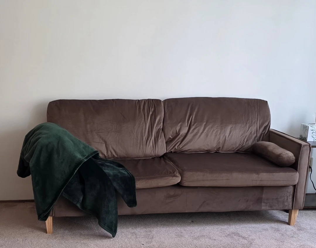 Brown Velvet Sofa (2)
