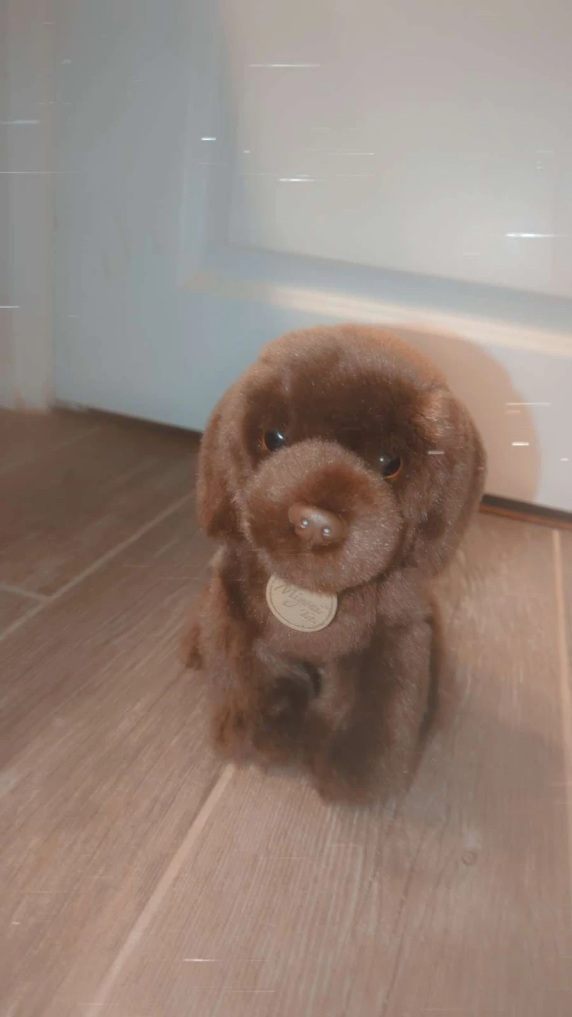 Puppy Plush