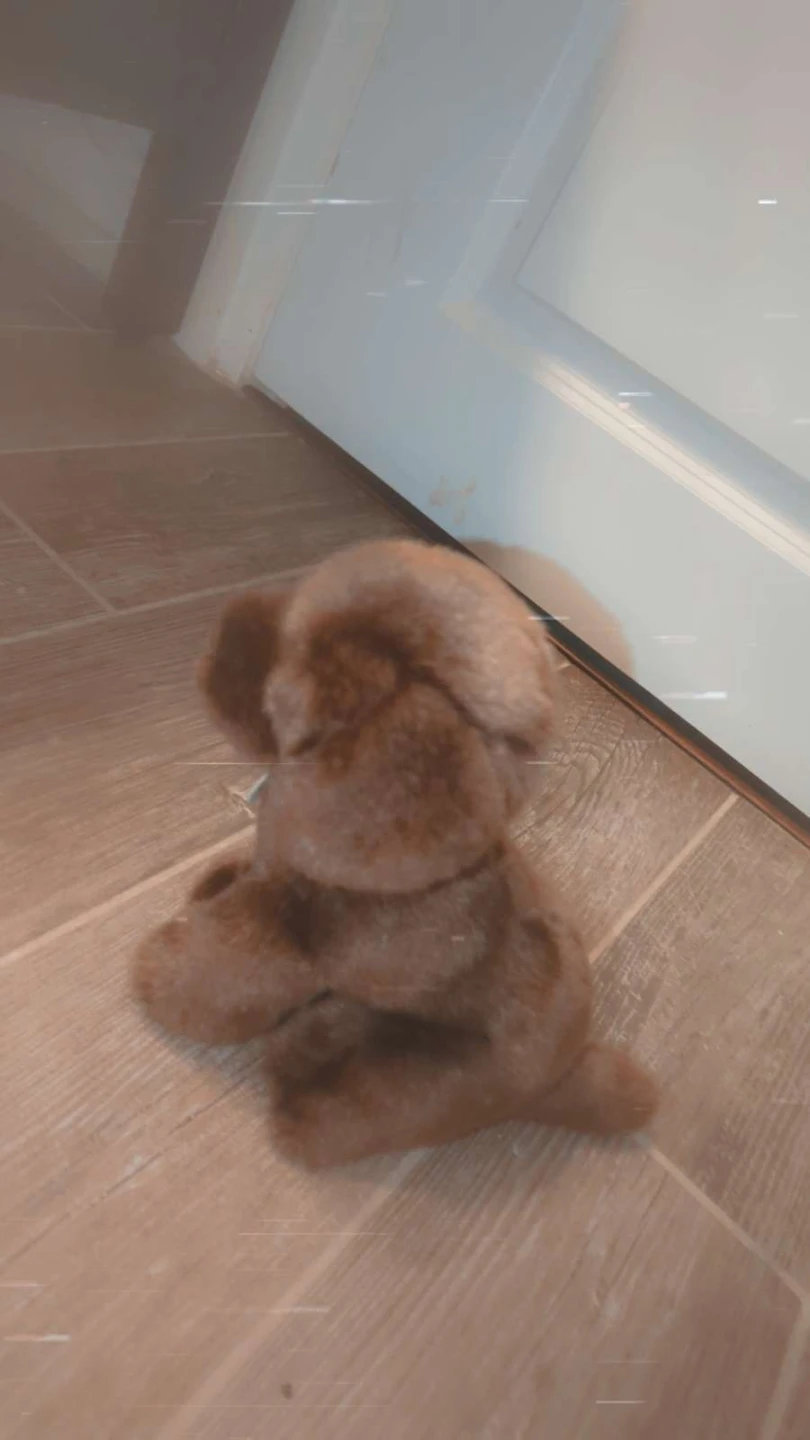 Puppy Plush - photo 3