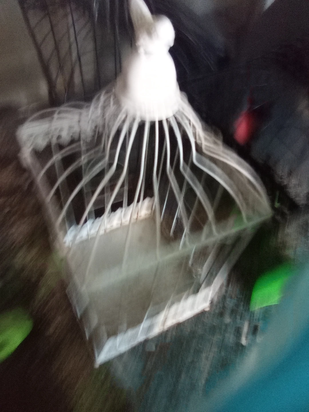 Decorative Bird Cages Set - photo 2