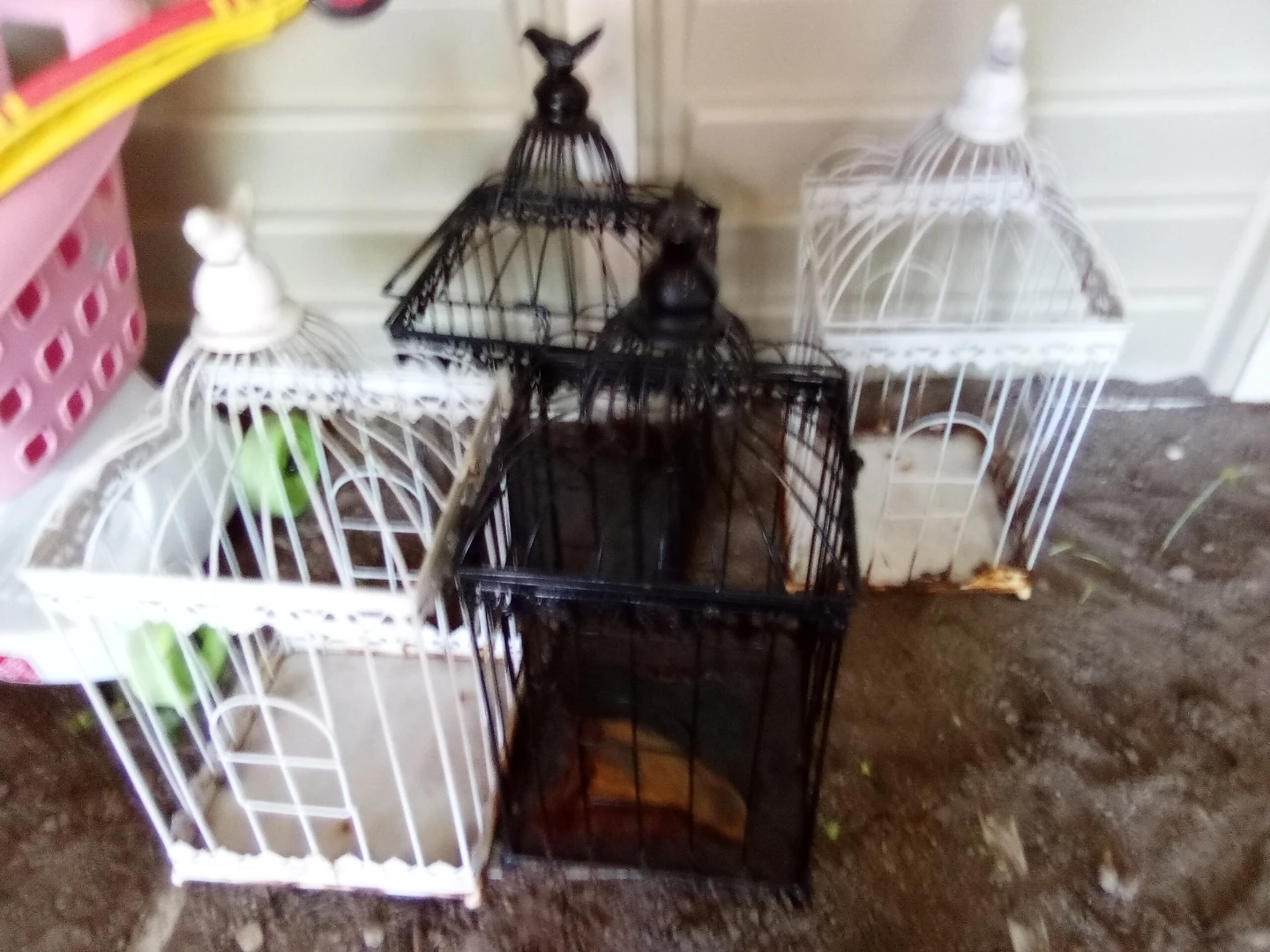 Decorative Bird Cages Set - photo 3