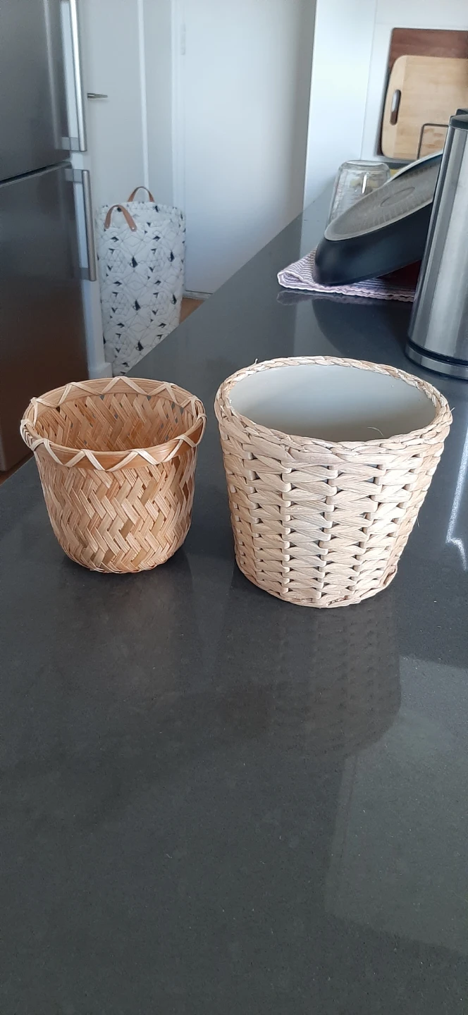 2 Ikea Flower pots 🪴
