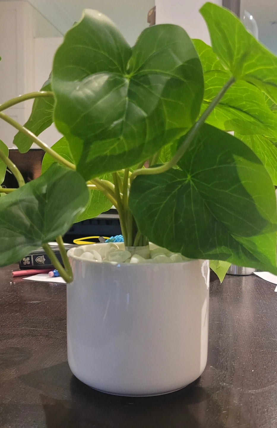 BRAND NEW Artificial Plant (betel) in White Pot