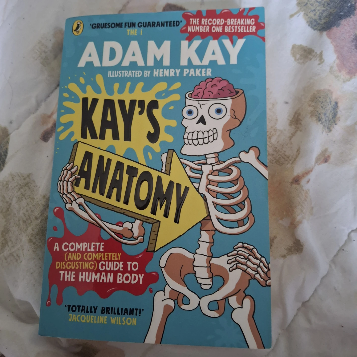 Kay's Anatomy