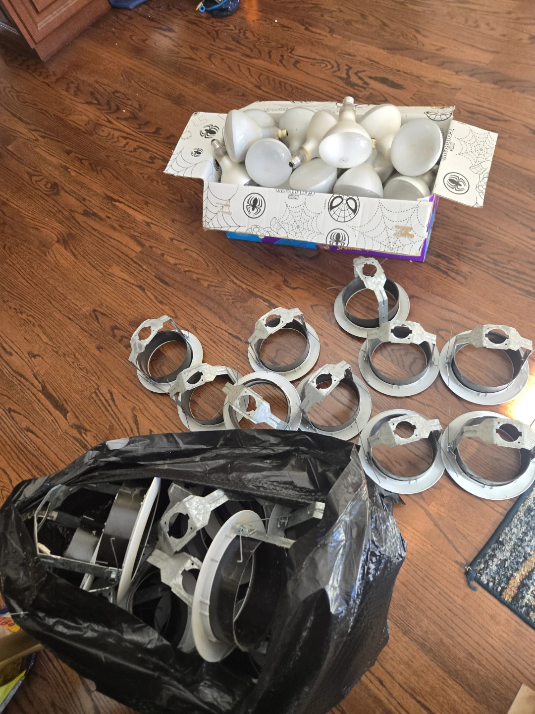 Bulbs and Recessed  Bulb Holders