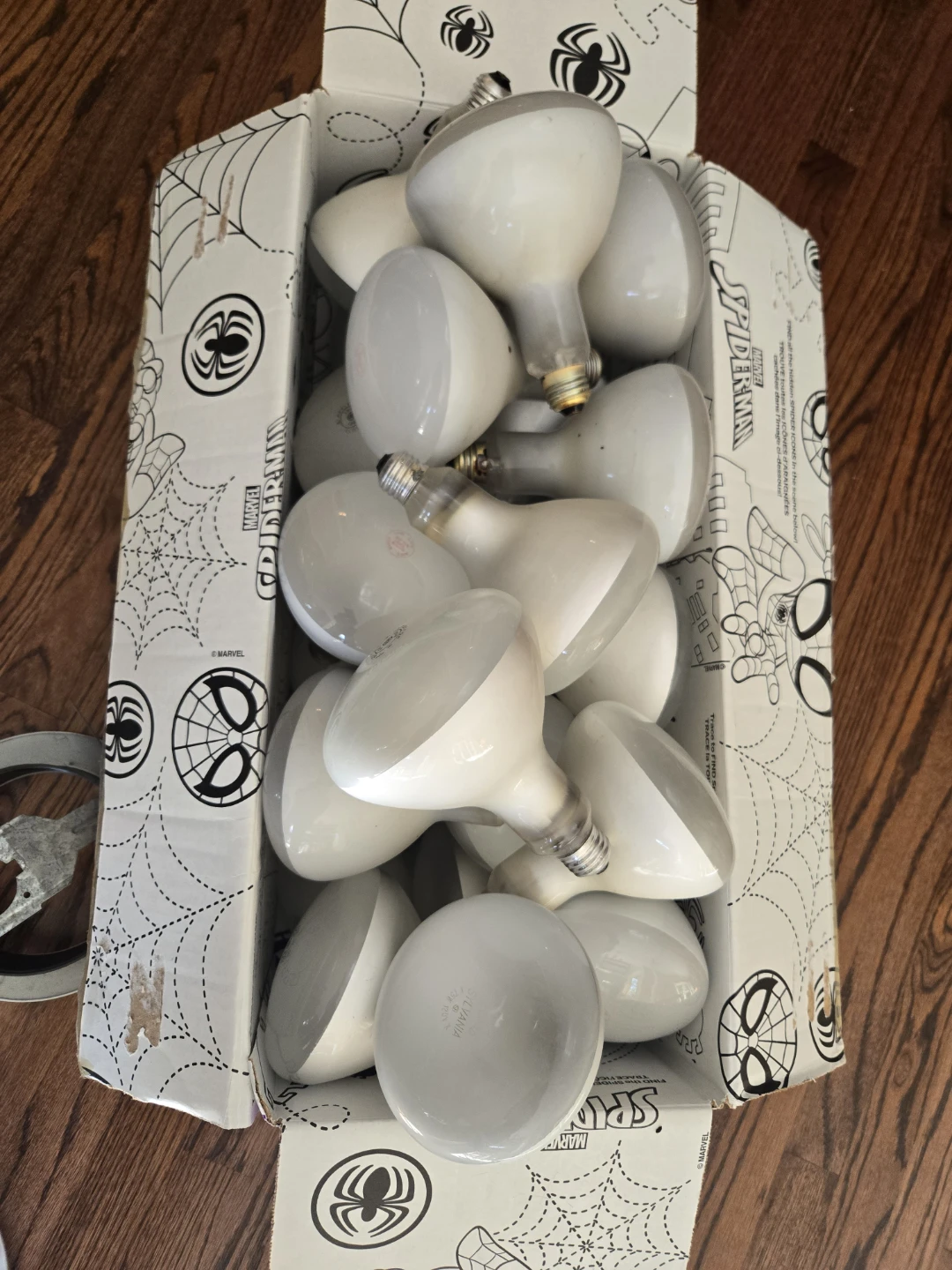 Bulbs and Recessed  Bulb Holders - photo 4