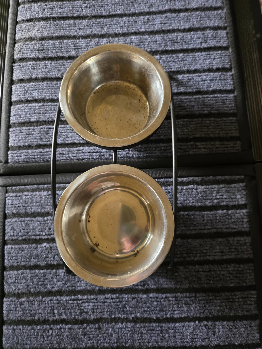 Stainless Steel Pet Bowls with Stand