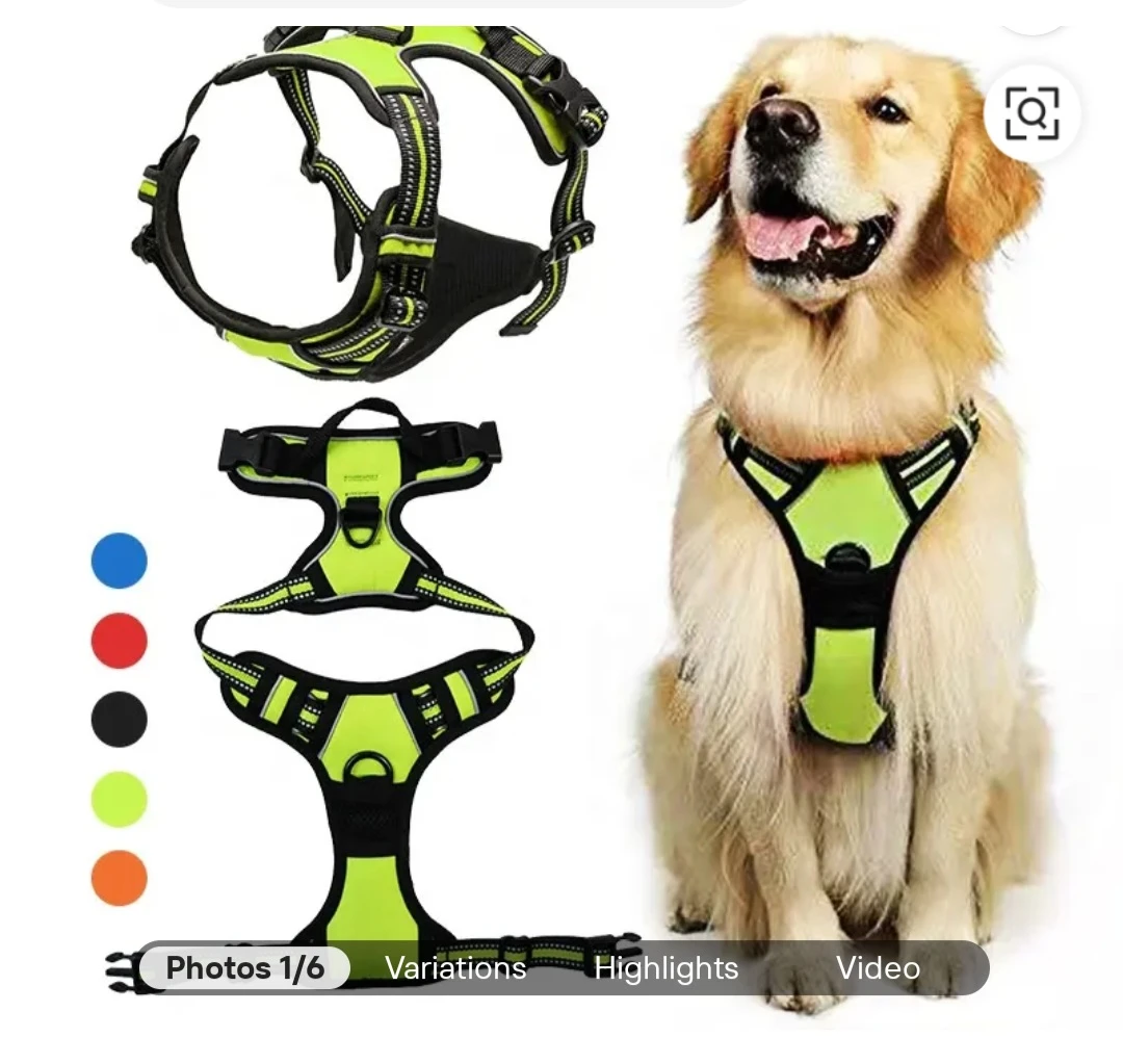 Dog Harness with Leash *NEW*