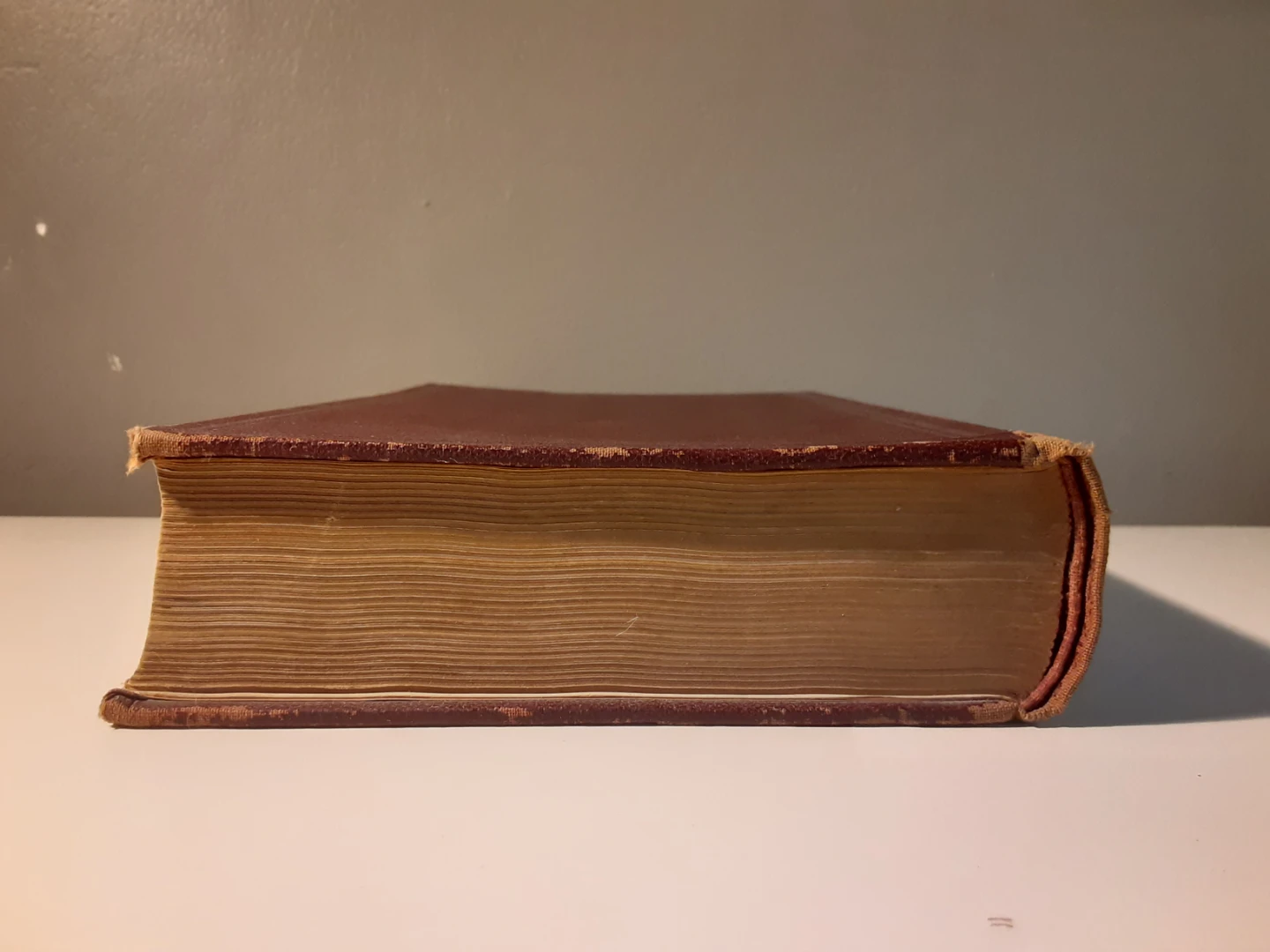 Bacteriology, Haematology & Parasitology - 9th Ed (1938) - photo 3