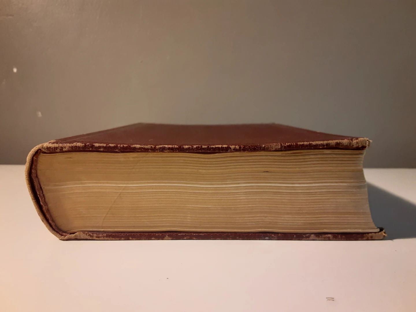 Bacteriology, Haematology & Parasitology - 9th Ed (1938) - photo 5