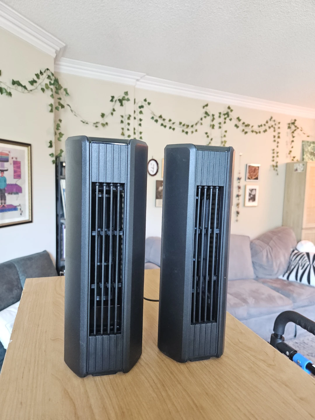 Set of 2 USB Desk Fans