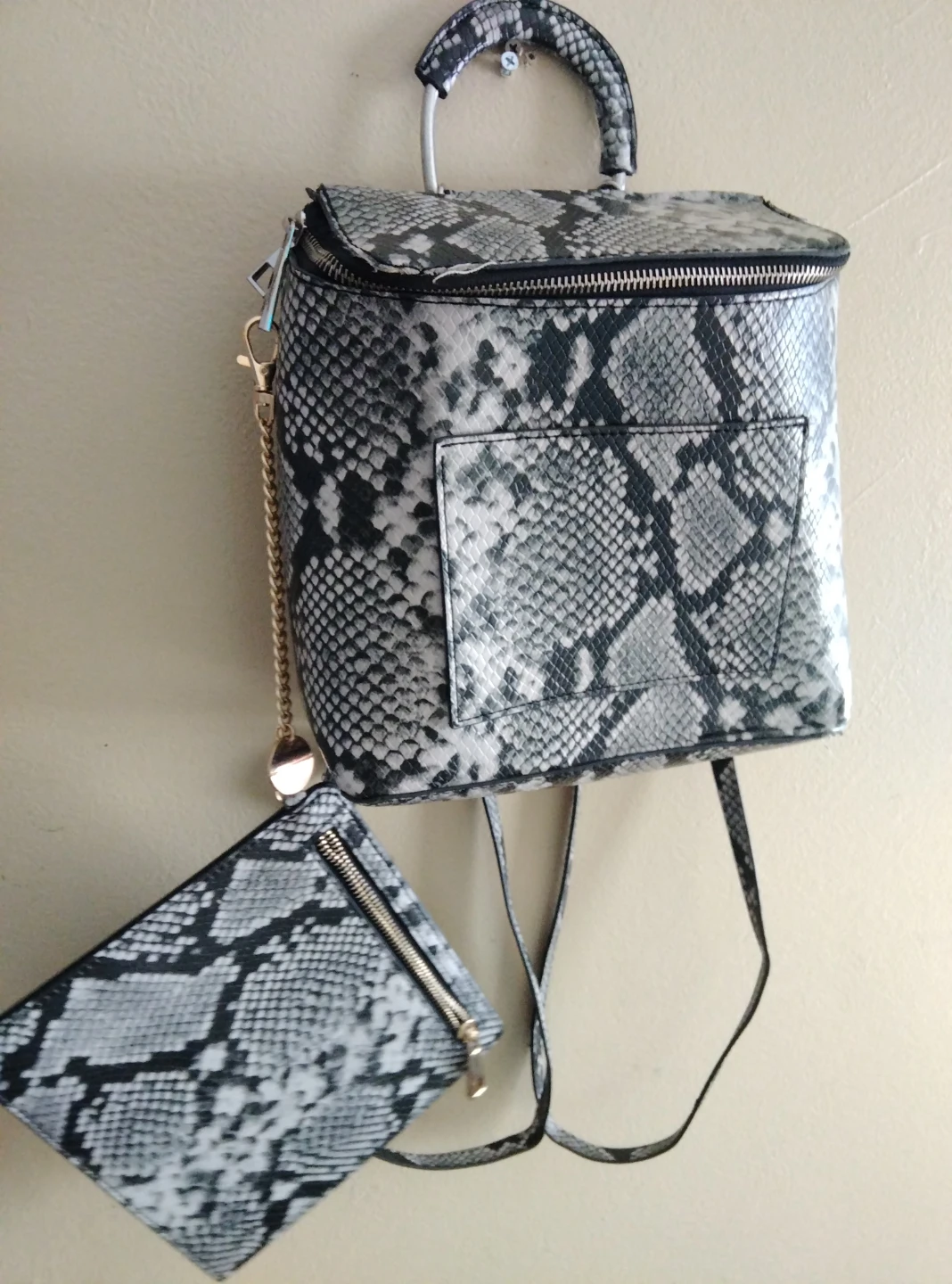 ALDO Snake Print Backpack with Matching Pouch