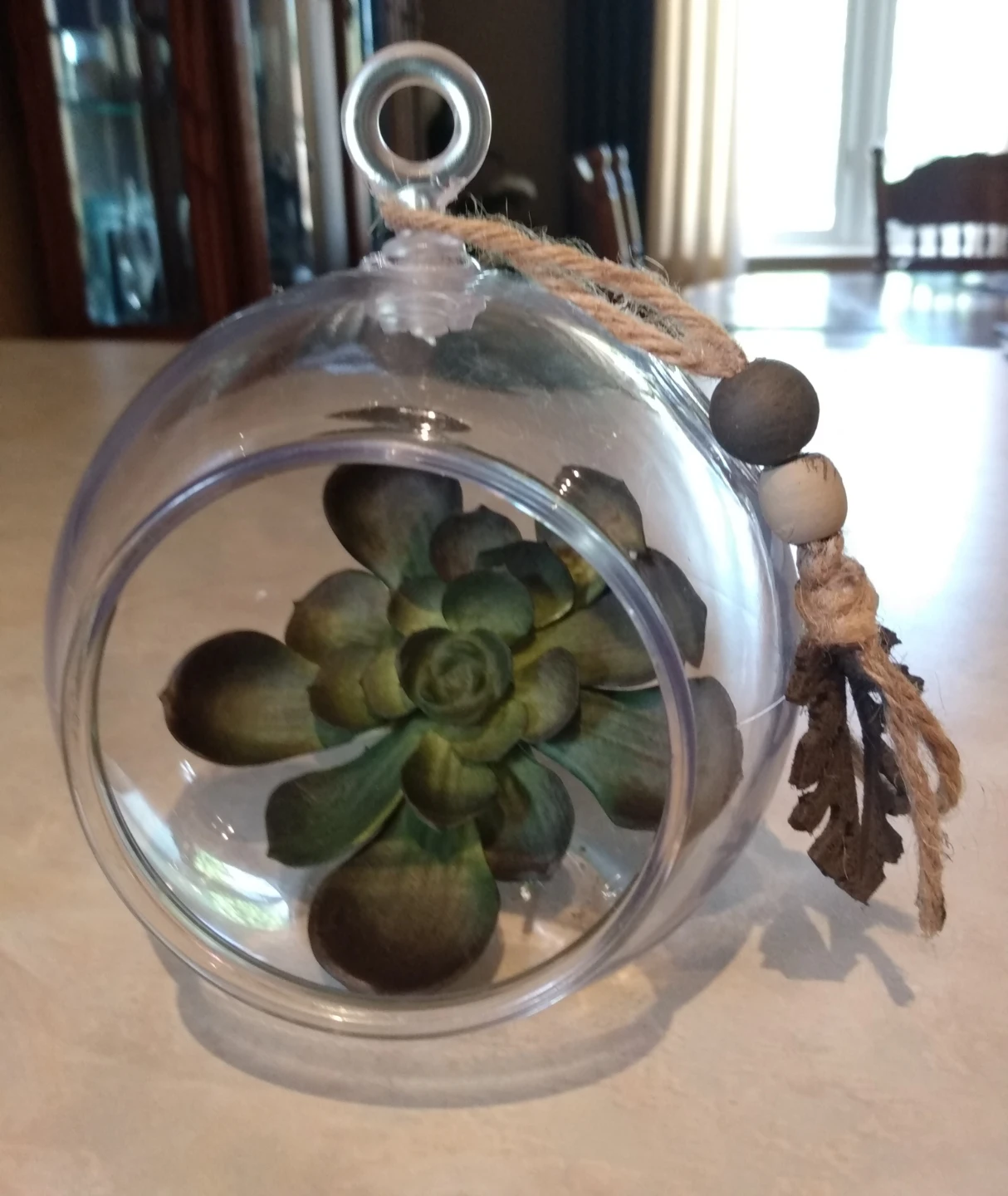 Decorative Terrarium with Succulent .