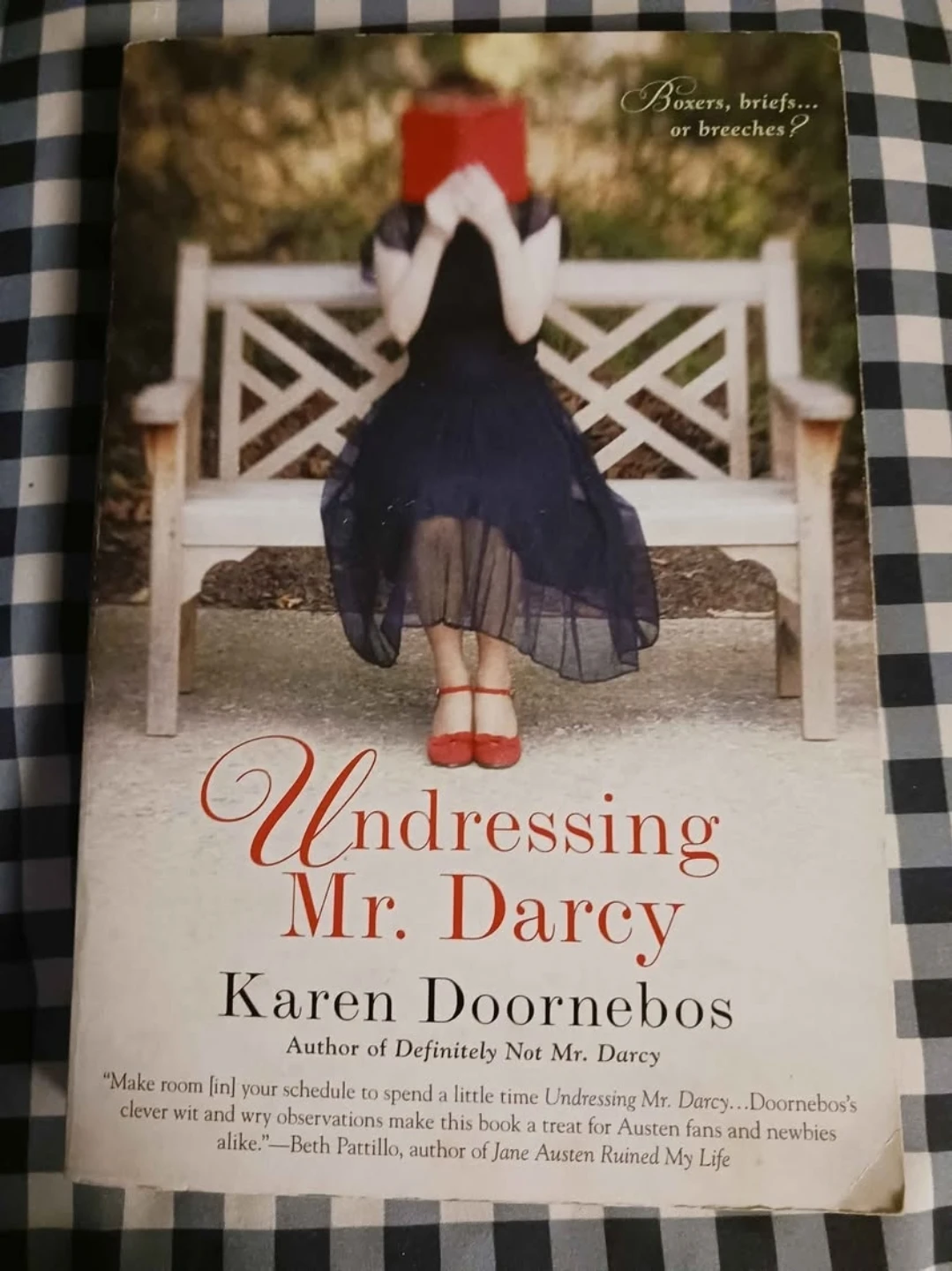 Undressing Mr. Darcy by Karen Doornebos Book