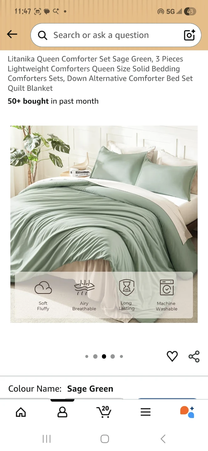 Litanika Queen Comforter Set - Sage Green