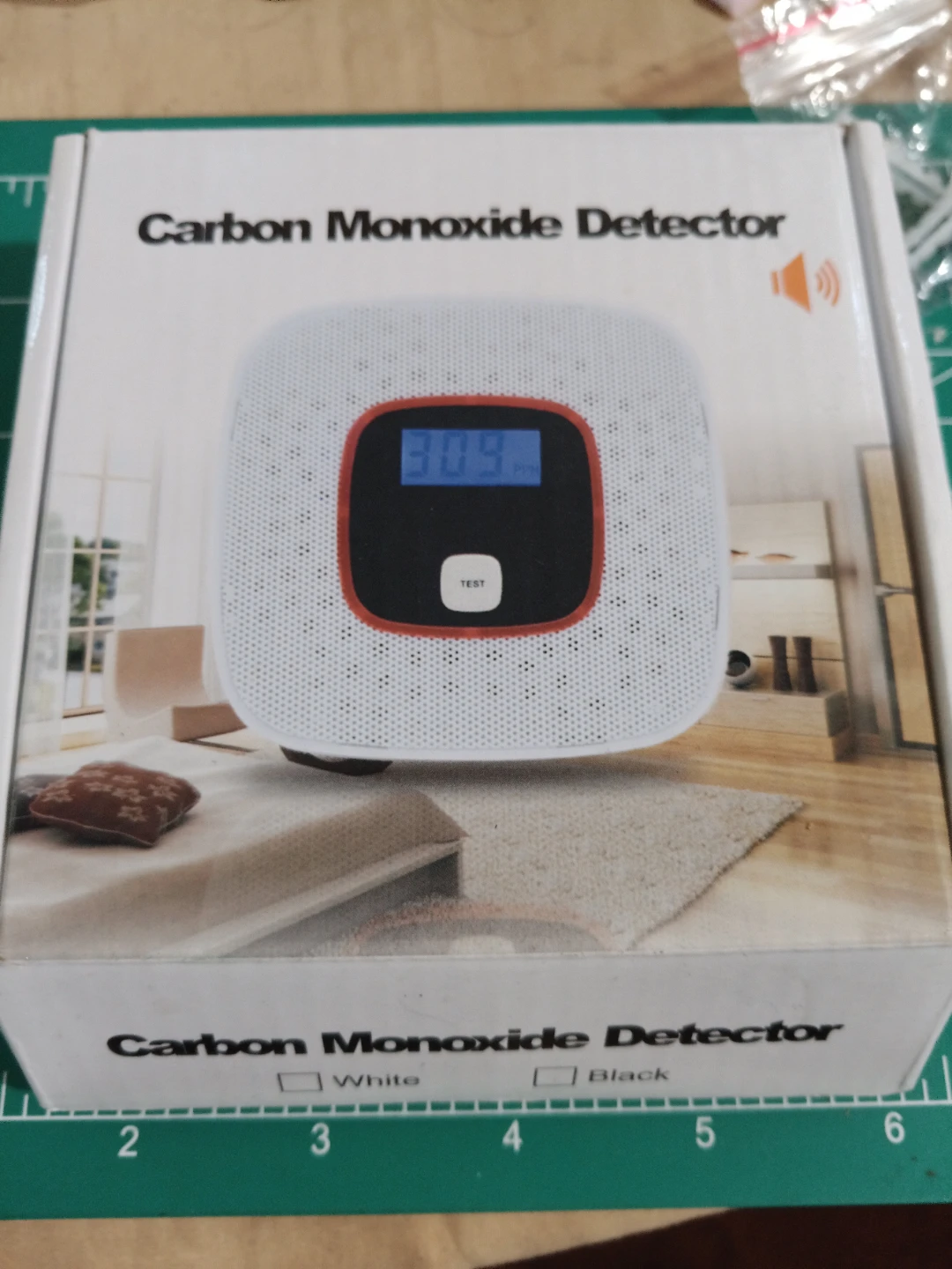 Carbon Monoxide Detector