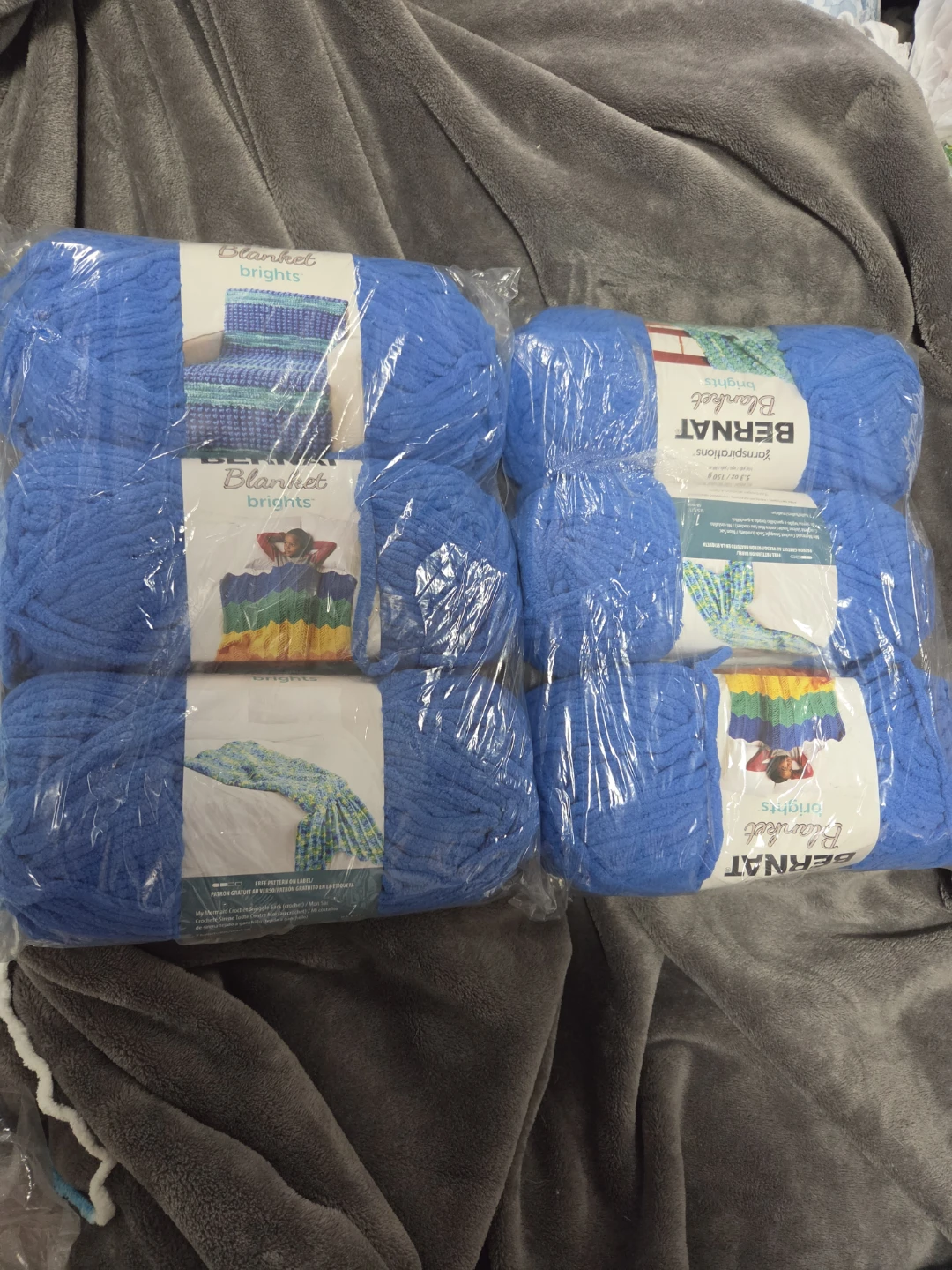 Bernat Blanket Brighs Yarn - Royal Blue