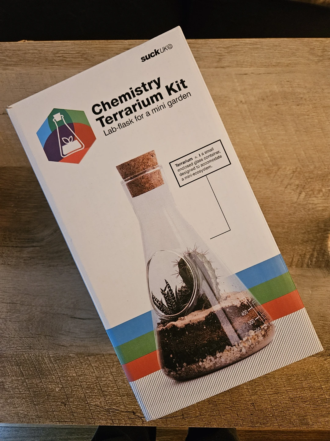 Last chance! Succulent: Haworthia fasciata