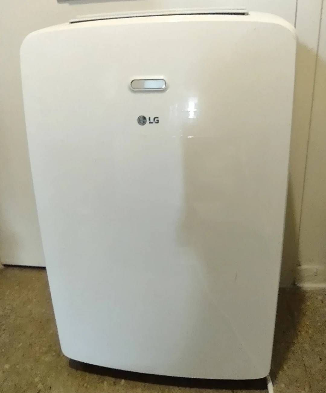 LG Portable Air Conditioner + new horse
