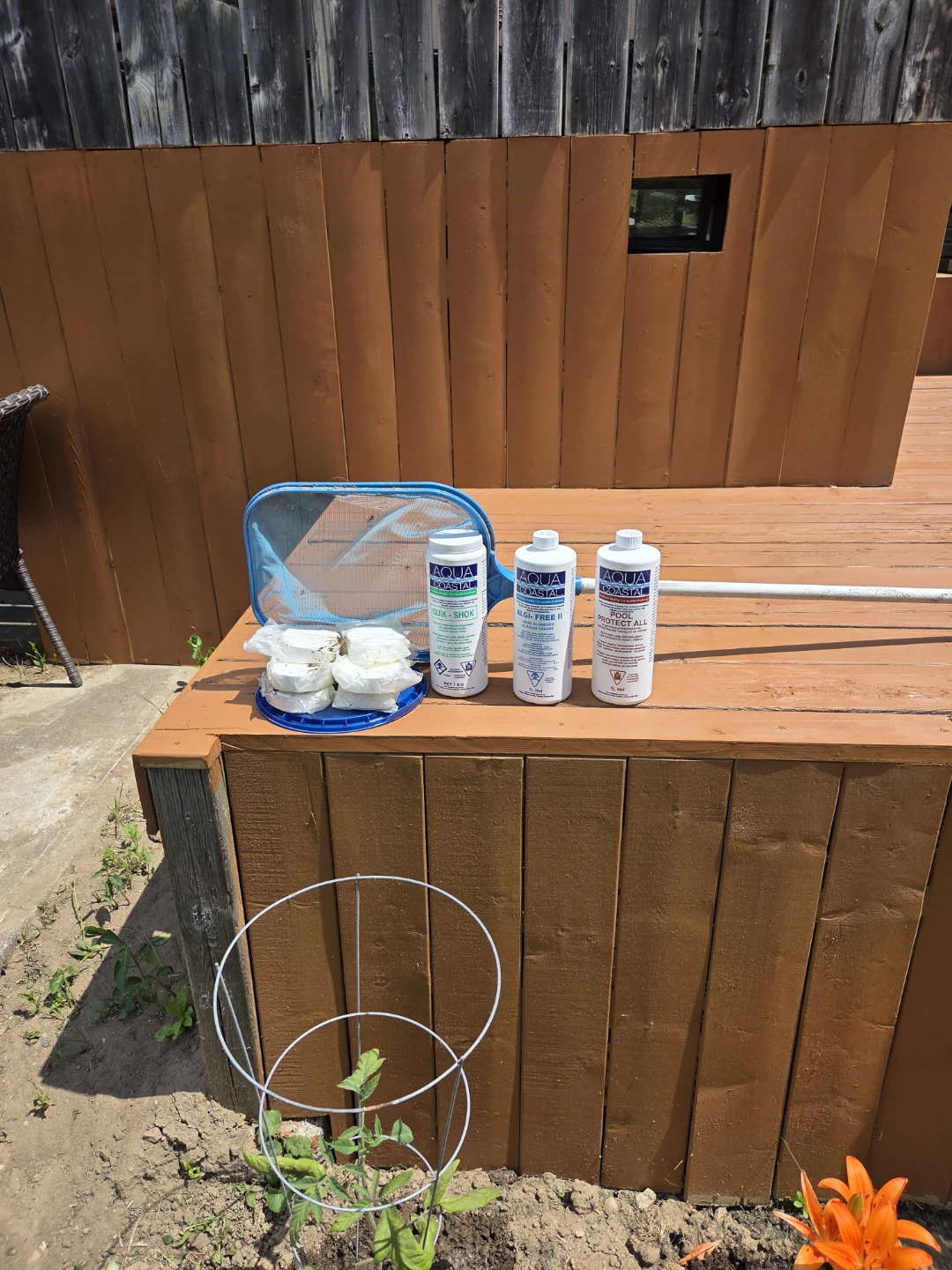 Aqua Crystal Pool Chemicals & Hayward Filter - photo 2